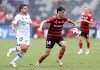 Taptap (188BET) Soi kèo Western Sydney Wanderers vs Auckland, 16h00 ngày 19/12